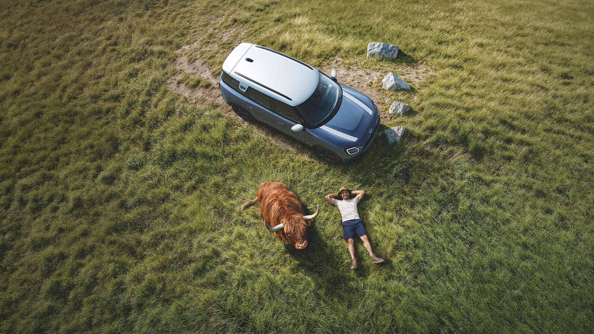Man sitting in a MINI contacting Roadside Assistance